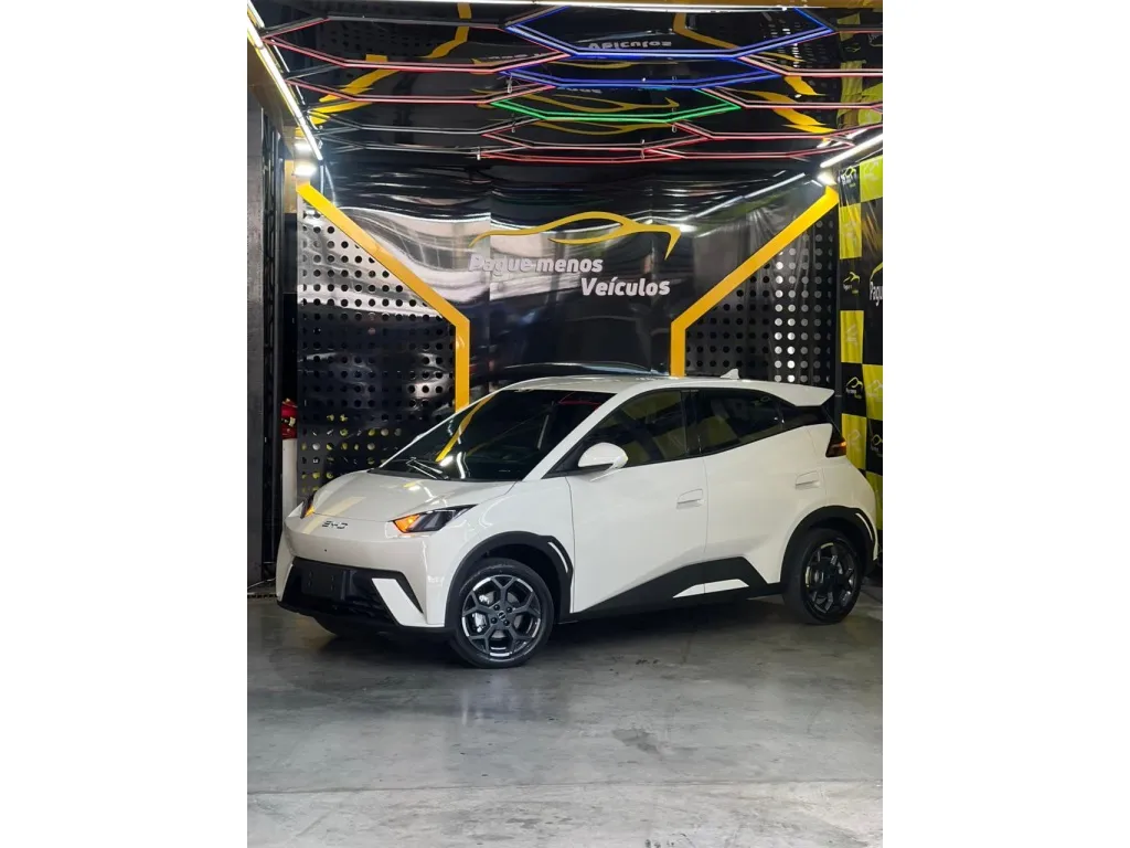 BYD DOLPHIN MINI 38 KW ELÉTRICO GS